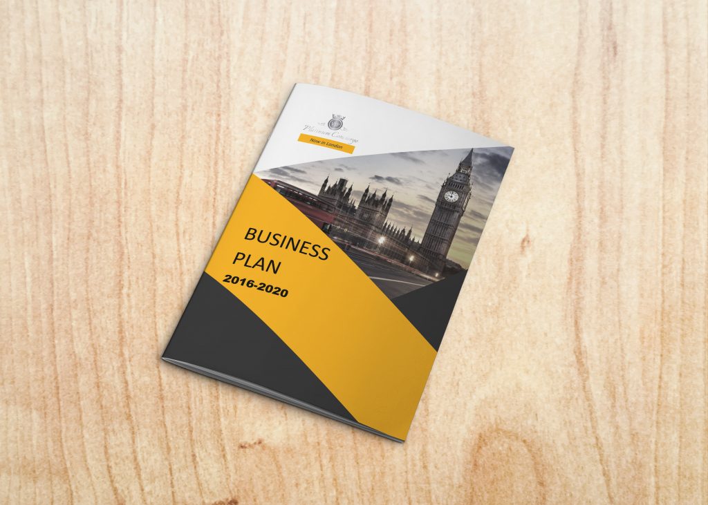 business plan writing