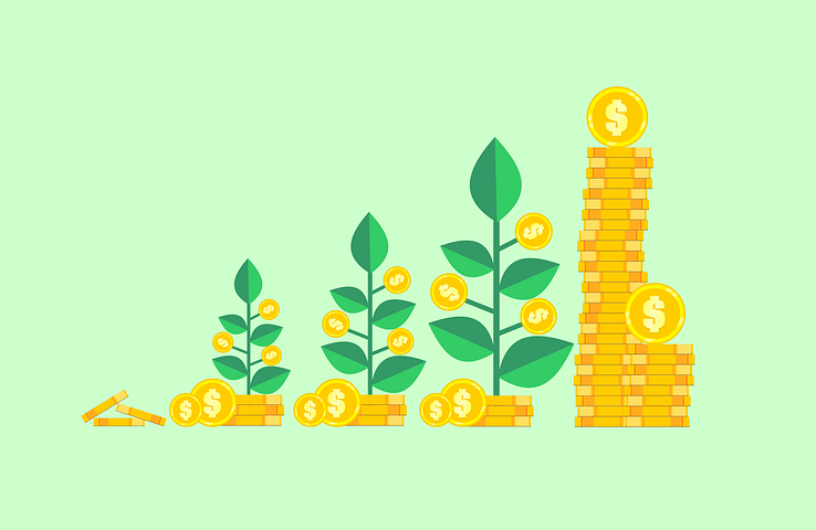 mutual fund investment advisory
