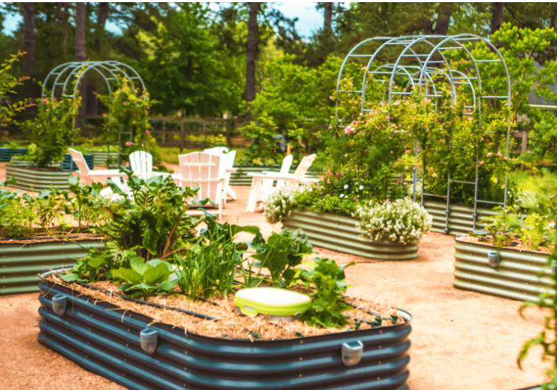 Raised Beds For Sale