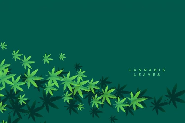 virginia medical marijuana card