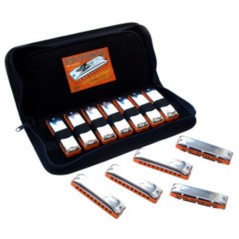 diatonic harmonica set